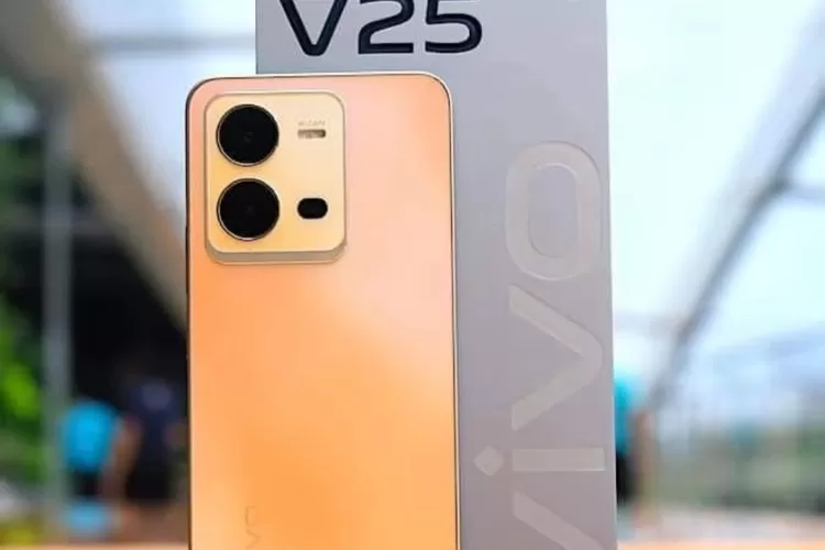 10 Rekomendasi Hp Vivo 3 Jutaan Terbaik Terbaru 2024