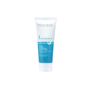 WARDAH ACNEDERM PURE FOAMING CLEANSER