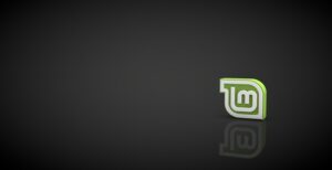 Panduan Cara Menginstall Linux Mint