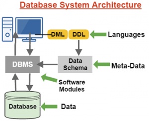 Pengertian DBMS Beserta Fungsi Dan Contoh Softwarenya (Lengkap)