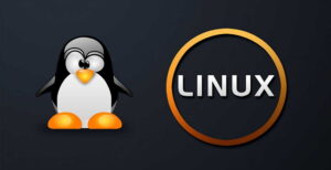 cara menghapus direktori di linux