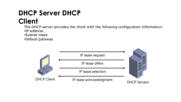 Kenali Fungsi Dan Cara Kerja Dhcp Server Dalam Jaringan Komputer Vrogue