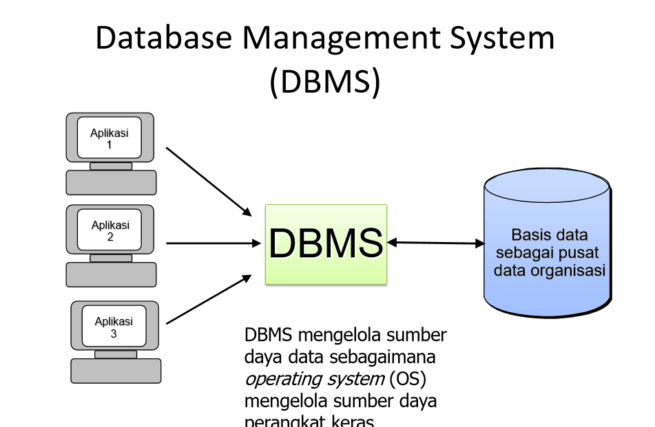 8 Contoh Aplikasi DBMS Yang Banyak Digunakan Kelebihannya 