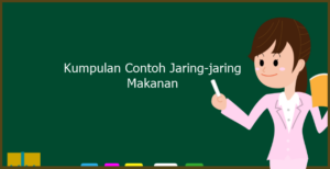 Contoh Jaring-jaring Makanan