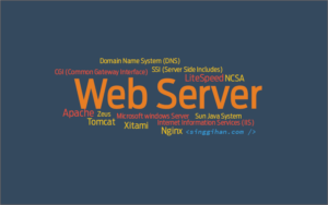 Macam-Macam Web Server