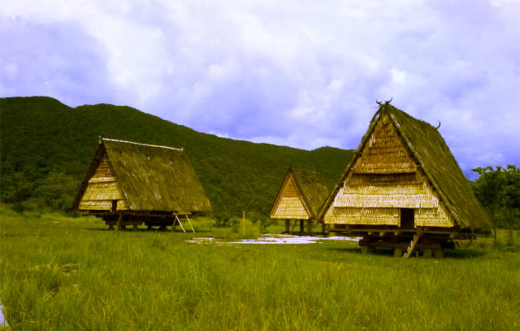 Rumah Adat Sulawesi Tengah & Ciri Khasnya + Gambar [LENGKAP]