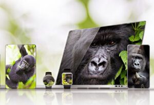 Corning Gorilla Glass Victur