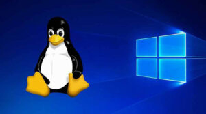 Microsoft Windows Linux