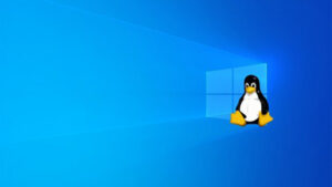 Windows Subsystem for Linux Windows 10