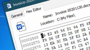 Aplikasi Hex Editor untuk PC