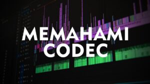 Apa itu Codec? Mengenal Pengertian Codec