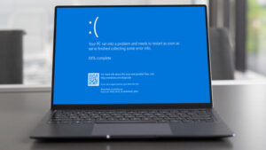 Warna Layar BSOD di Windows 11 Kembali ke Warna Biru