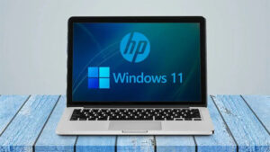 HP Hotkey UWP Service Bermasalah Setelah Pasang Windows 11, Pengguna Mengeluh