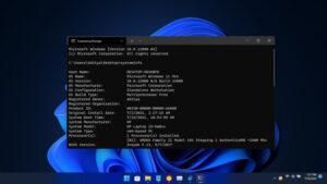 Cara Membuka Windows Terminal di Windows 11