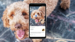 Mencari Gambar Menggunakan Google Lens di Chrome Akan Semakin Nyaman