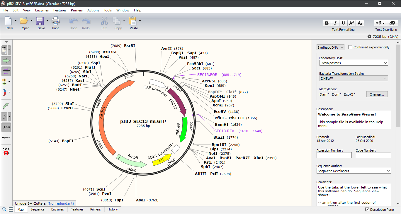 Download SnapGene Viewer Terbaru