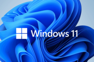 Win 11