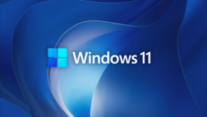 Terdapat Fitur Energi Eficiency di Windows 11 Insider Dev