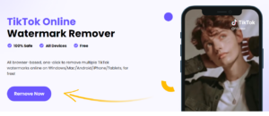 HitPaw TikTok Watermark Remover