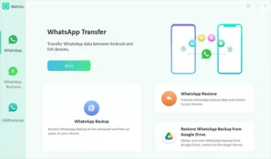 iToolab WatsGo WhatsApp Transfer