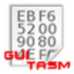 Download GUI Turbo Assembler