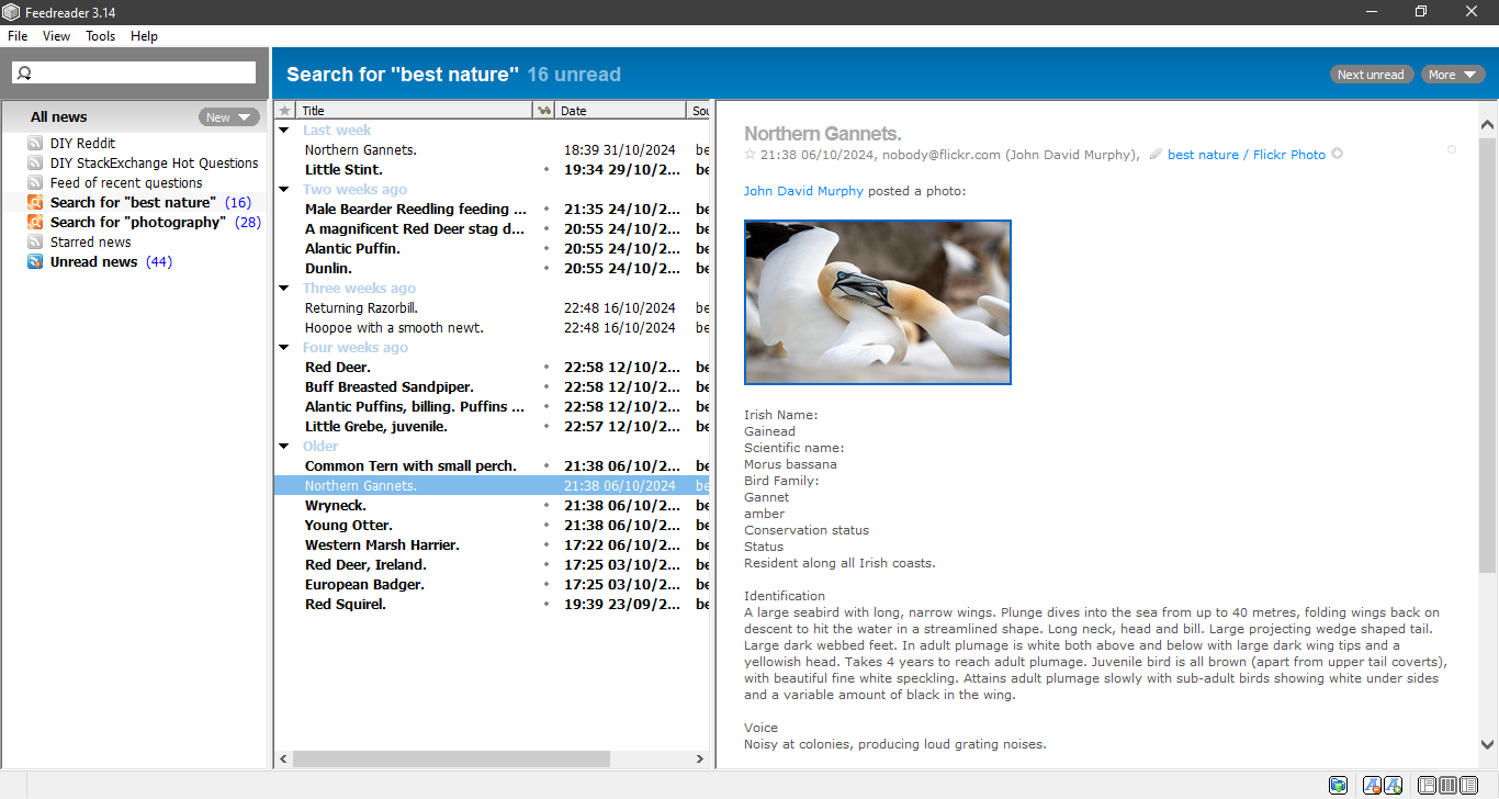 Download FeedReader for PC Terbaru