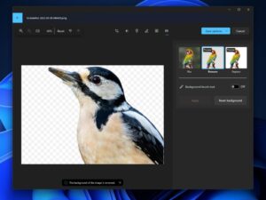 Microsoft Photos di Windows 11 Mulai Uji Coba AI Terbaru