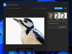 Microsoft Photos di Windows 11 Rilis Fitur Mirip Google Photos