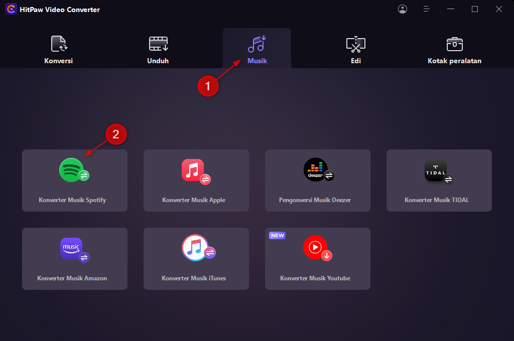 HitPaw Spotify Music Converter