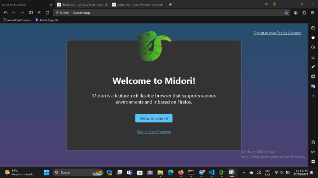 Midori Browser