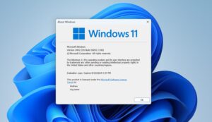 Isu Baru Windows 11 24H2 Alami Gangguan Jaringan