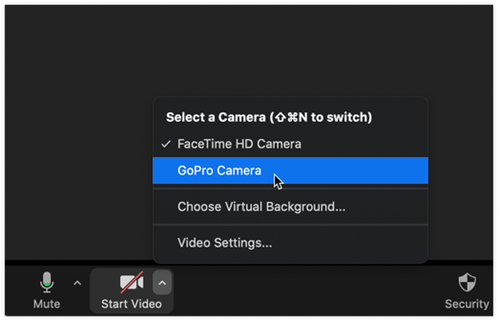 Download GoPro Webcam