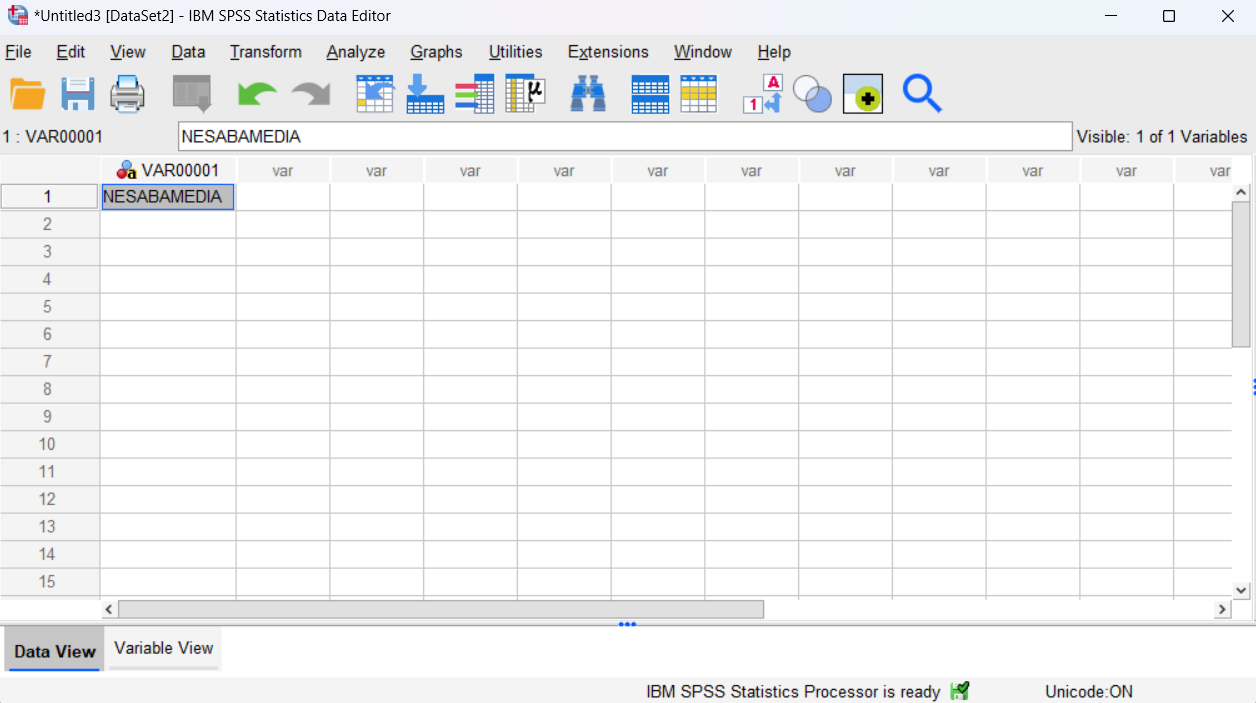 IBM SPSS 27