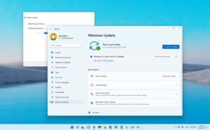 Microsoft Mulai Berlakukan Auto Update di Windows 11 24H2