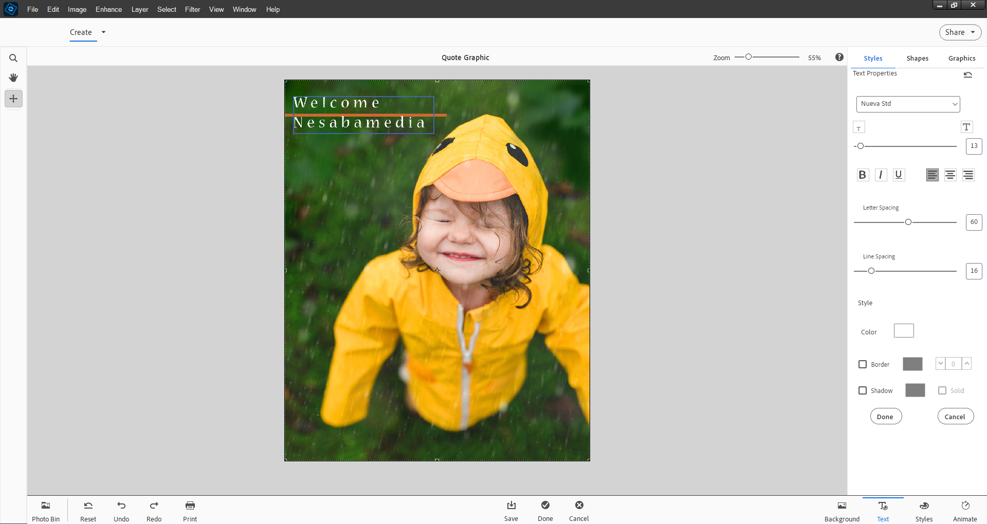 Download Adobe Photoshop Elements 2025